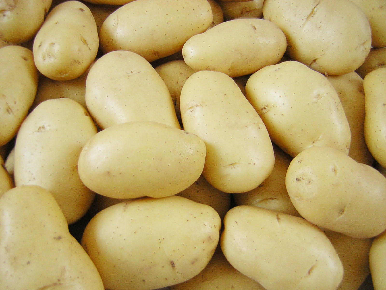 Yemeklik Patates