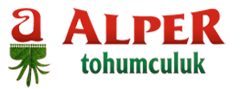 Alper Tohumculuk | Patates Tohumu | Sertifikalı Patates Tohumu